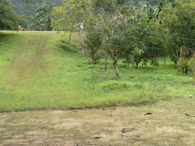 Terreno - Venda - Besenello - Nova Trento - SC