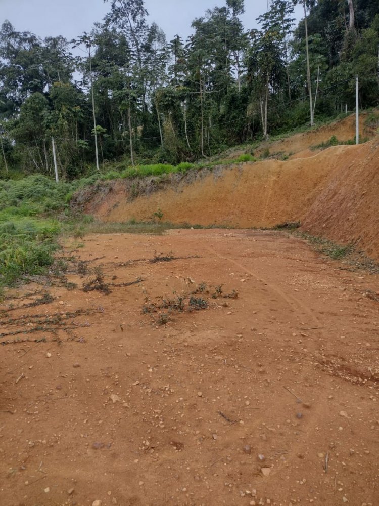 Terreno - Venda - Limeira Baixa - Brusque - SC