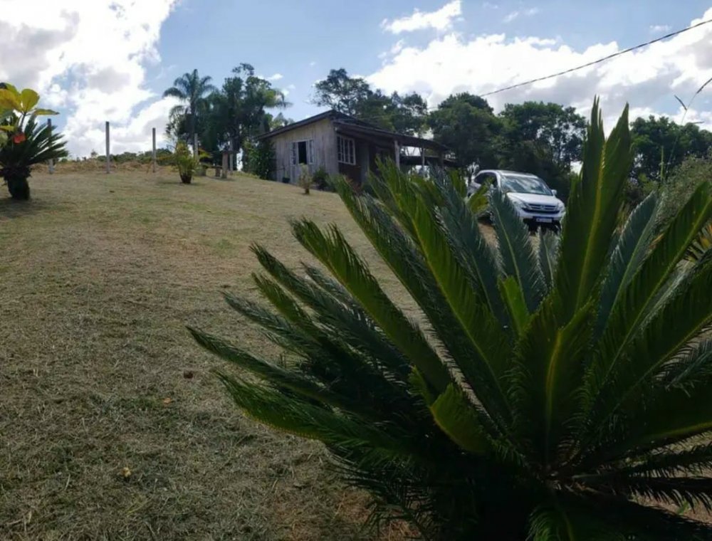 Terreno - Venda - Urussanga - Canelinha - SC
