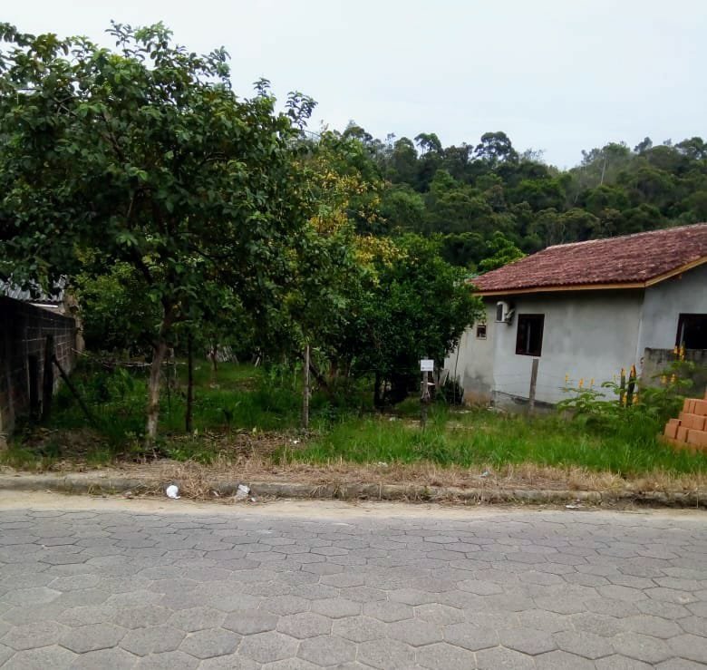 Terreno - Venda - Timb - So Joo Batista - SC
