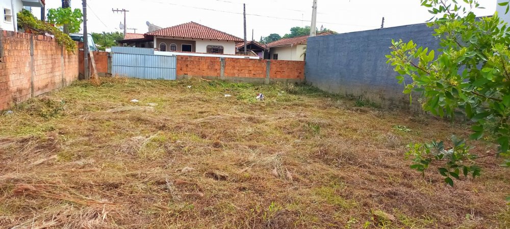 Terreno - Venda - Papagaios - Canelinha - SC