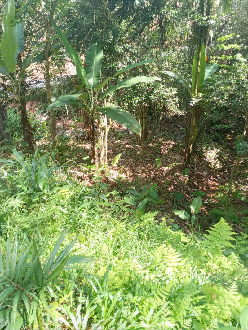 Terreno - Venda - Moura - Canelinha - SC
